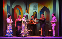 TEATRO FLAMENCO GRANADA6