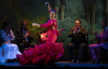 TEATRO FLAMENCO GRANADA9