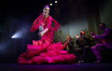 TEATRO FLAMENCO GRANADA10