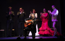 TEATRO FLAMENCO GRANADA11