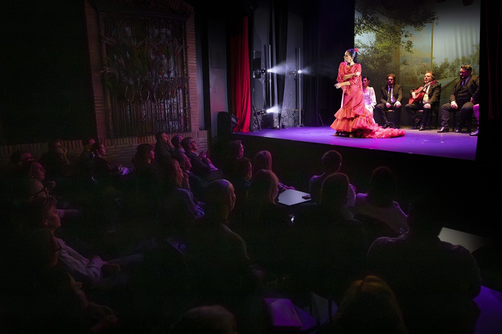 TEATRO FLAMENCO GRANADA