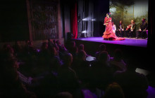 TEATRO FLAMENCO GRANADA12