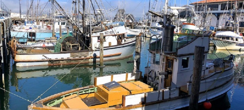 San Francisco North Beach Tour With Alcatraz Plus Cruise and SkyStar Option