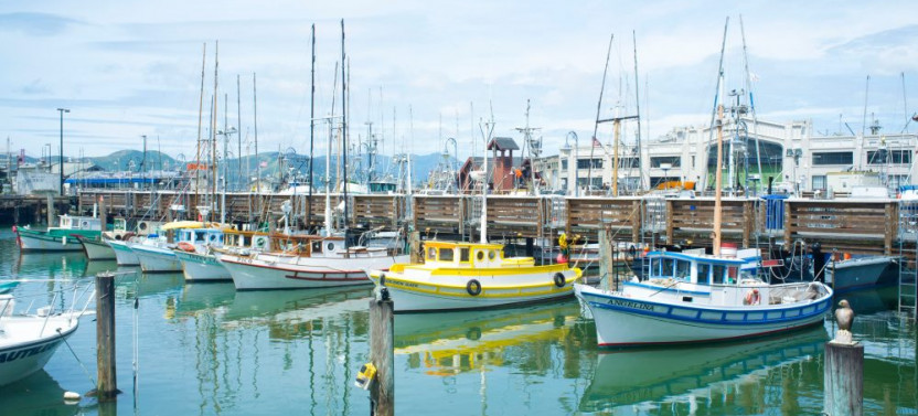 San Francisco North Beach Walking Tour With Optional SkyStar or Bay Cruise