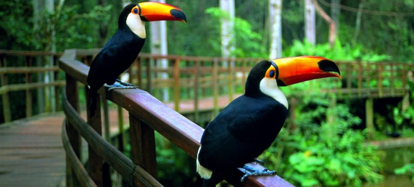 3 Days Foz do Iguaçu Classic