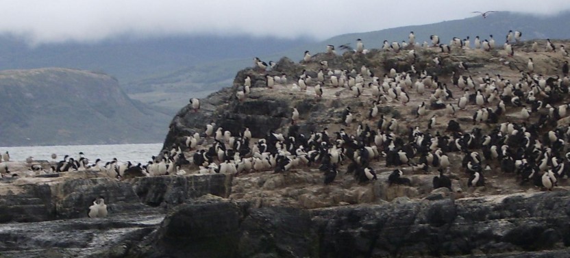 4 Day Ushuaia Trip