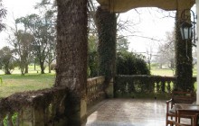 Tangol3