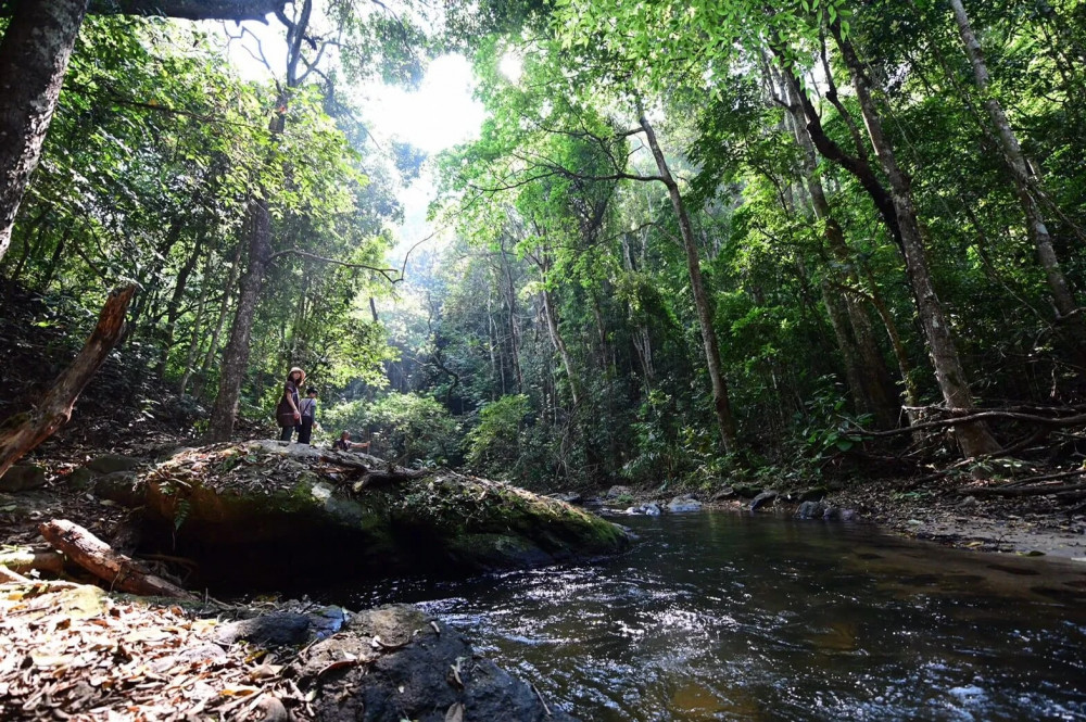 Chiang Mai Doi Inthanon & Pha Dok Siew Waterfall Tour