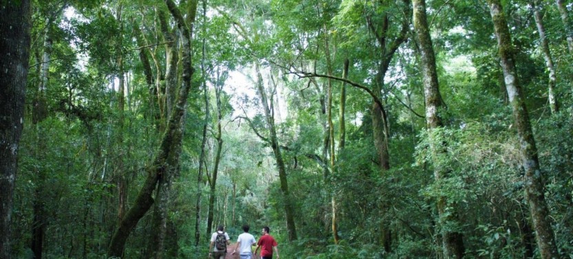 5 Day Puerto Iguazu Adventure Tour