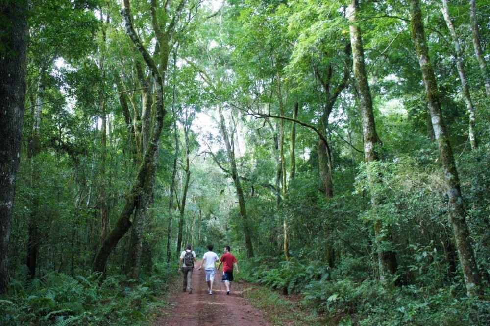 5 Day Puerto Iguazu Adventure Tour