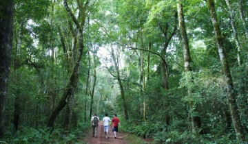 A picture of 5 Day Puerto Iguazu Adventure Tour