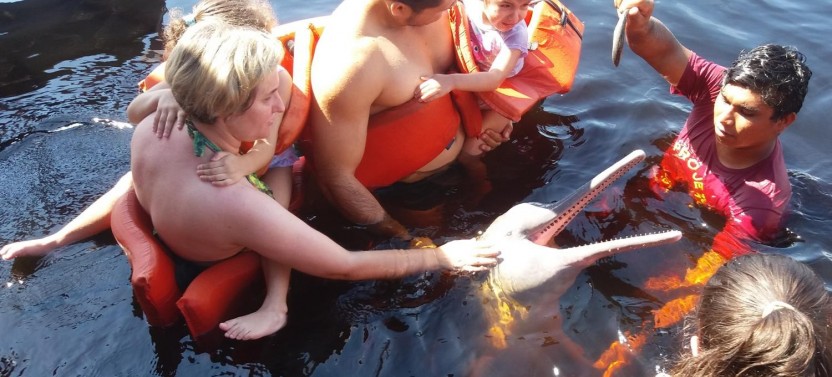 Amazon Dolphins Day Tour