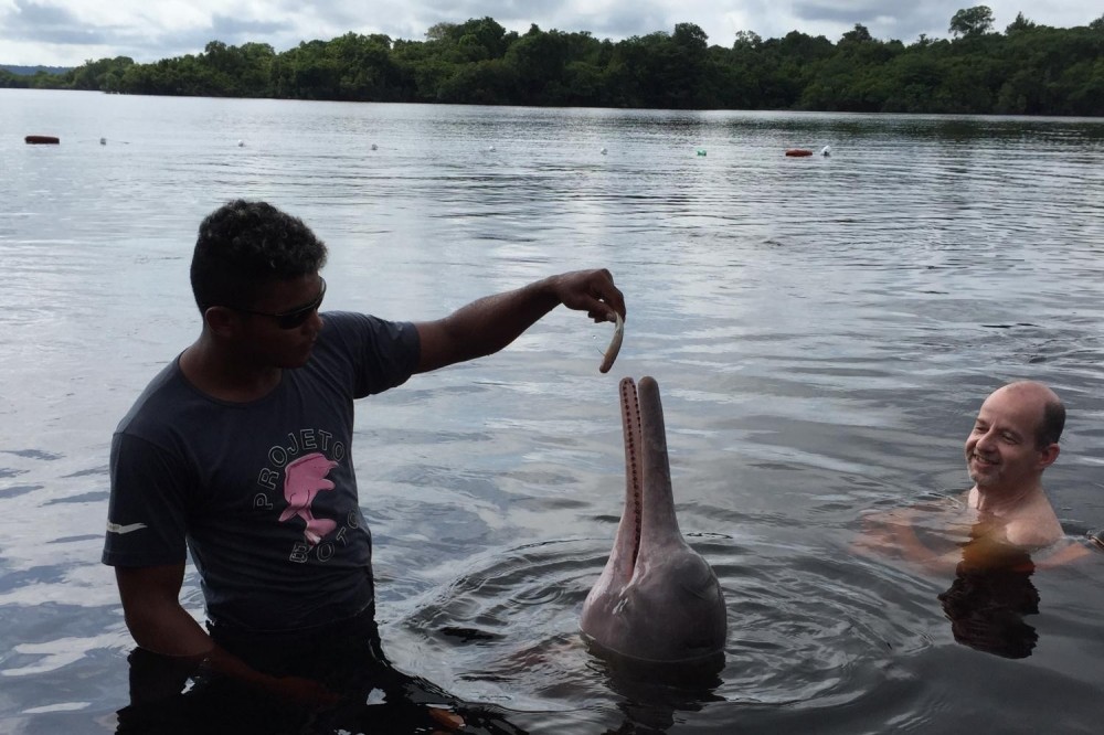 Amazon Dolphins Day Tour