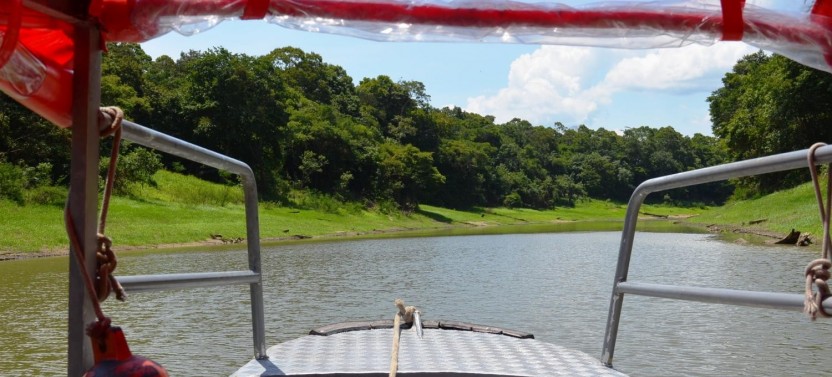 Anavilhanas Archipelago Walking In Manaus