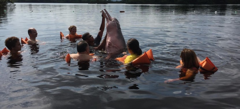Amazon Dolphins Day Tour