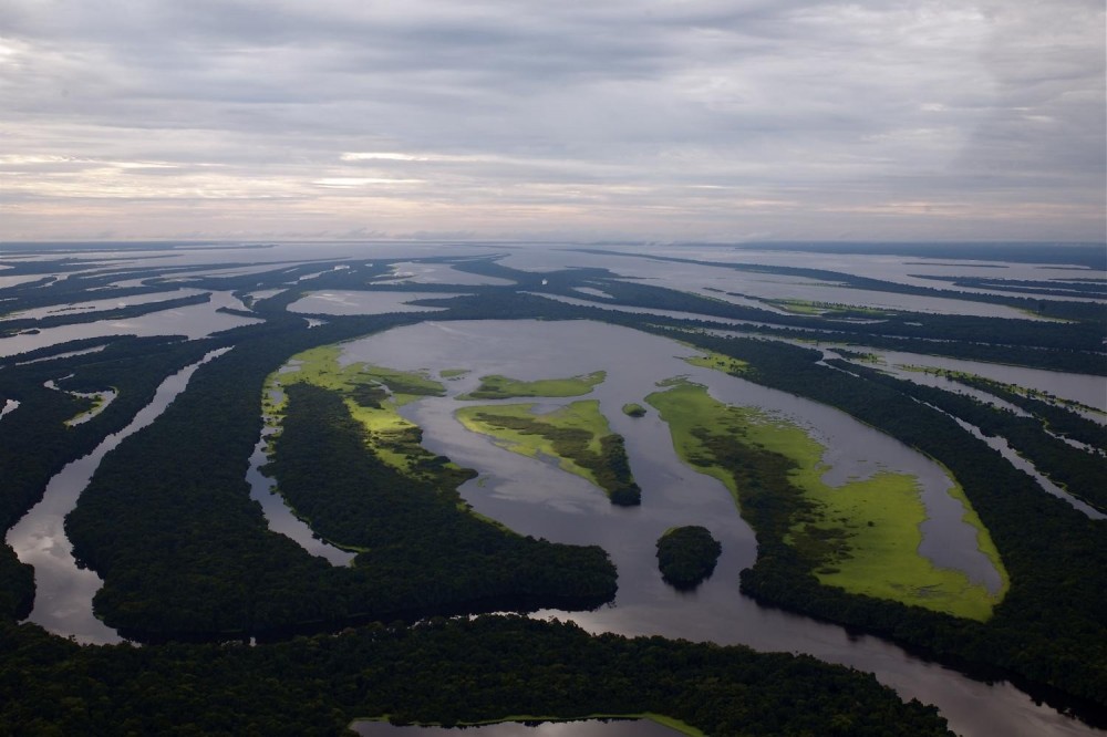 Anavilhanas Archipelago Walking In Manaus - Manaus | Project Expedition