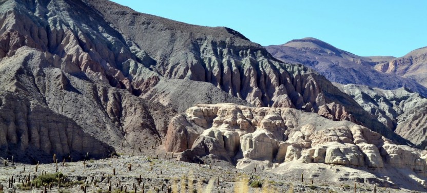 Bull Lagoon And Flamingos Watching from Salta