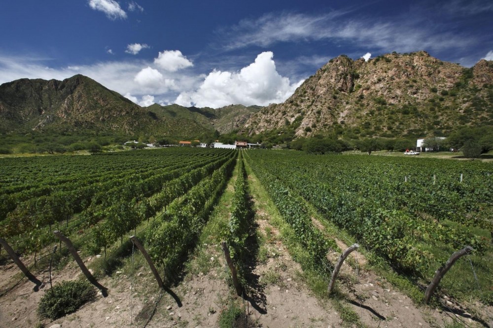 Cafayate Day Tour from Salta