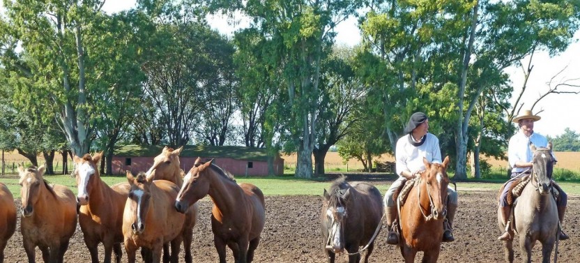 Countryside Horseback Riding Tour