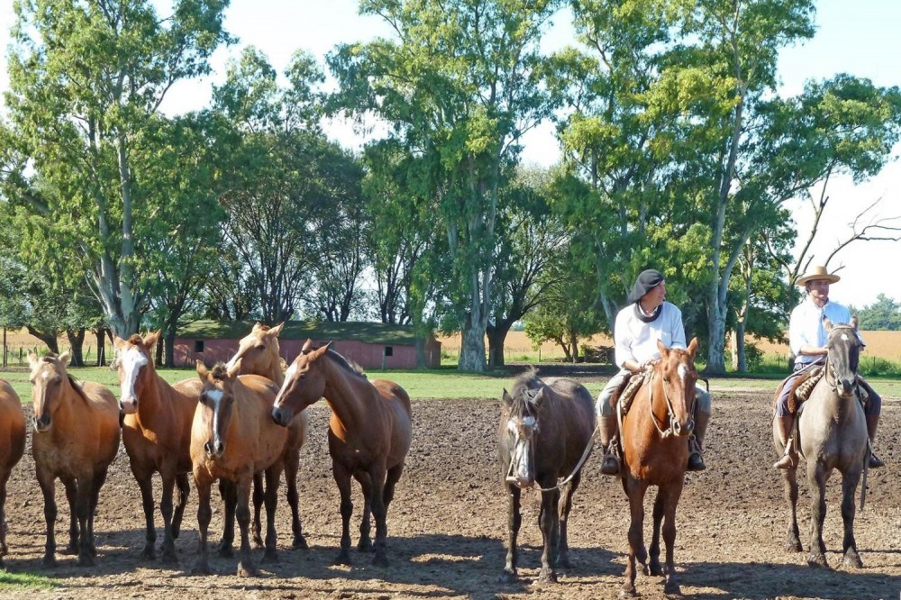 Countryside Horseback Riding Tour