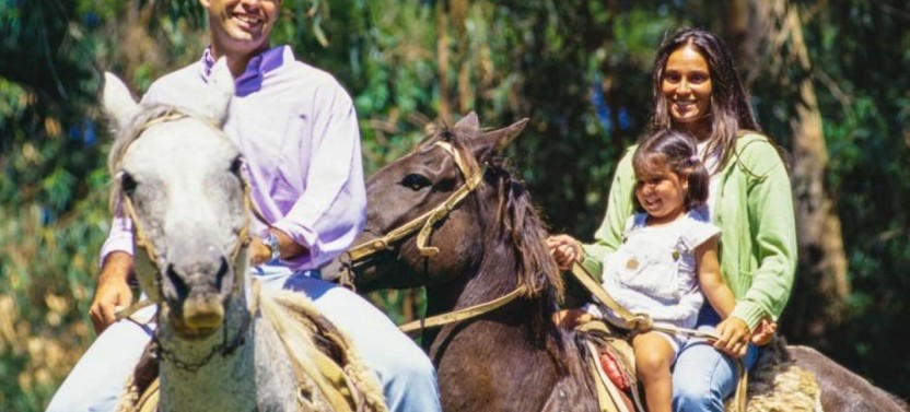 Countryside Horseback Riding Tour