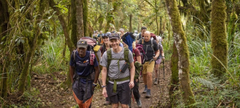 7 days Kilimanjaro Climb – Lemosho Route
