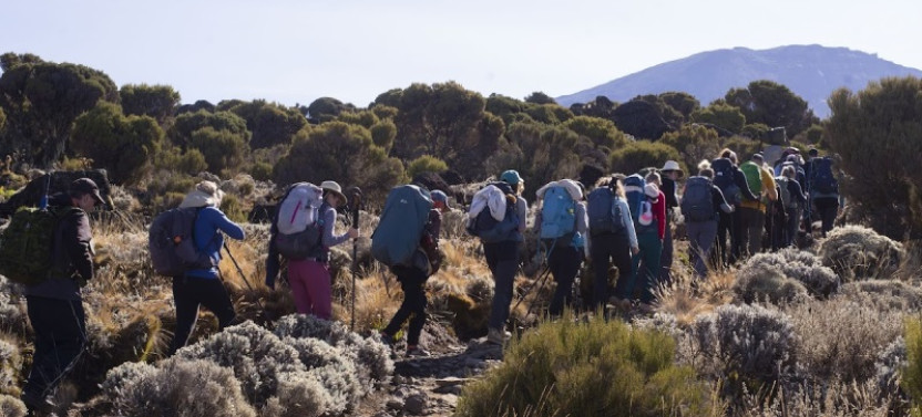 7 days Kilimanjaro Climb – Lemosho Route
