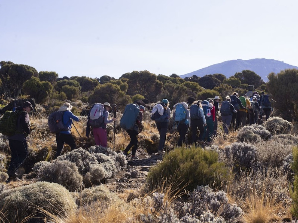 7 days Kilimanjaro Climb – Lemosho Route