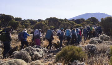 A picture of 7 days Kilimanjaro Climb – Lemosho Route