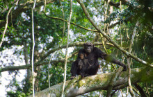 Kilimanjaro Heroes Adventures1