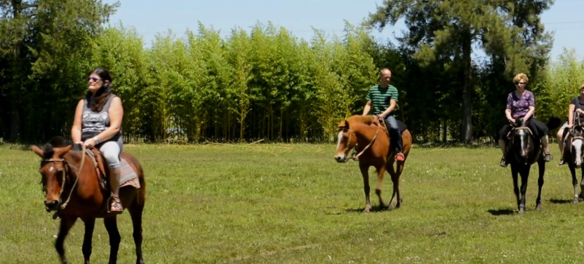 Don Silvano Ranch from Buenos Aires