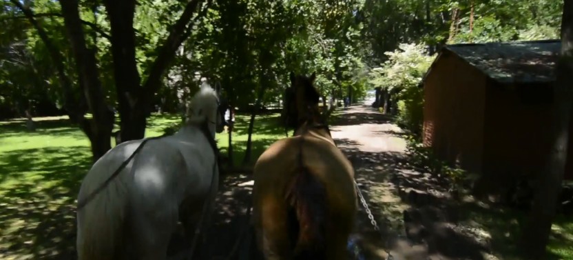 Don Silvano Ranch from Buenos Aires