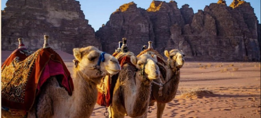 6 day Jordan Journey Through Ancient Ruins & Natural Wonders