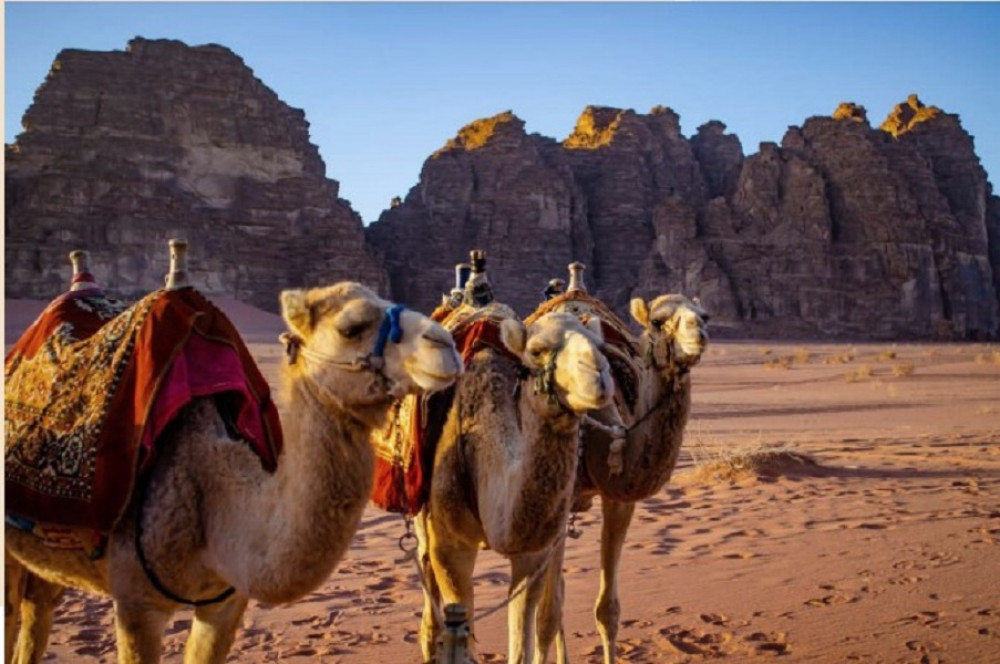 6 day Jordan Journey Through Ancient Ruins & Natural Wonders