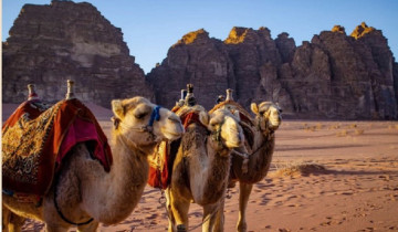 A picture of 6 day Jordan Journey Through Ancient Ruins & Natural Wonders