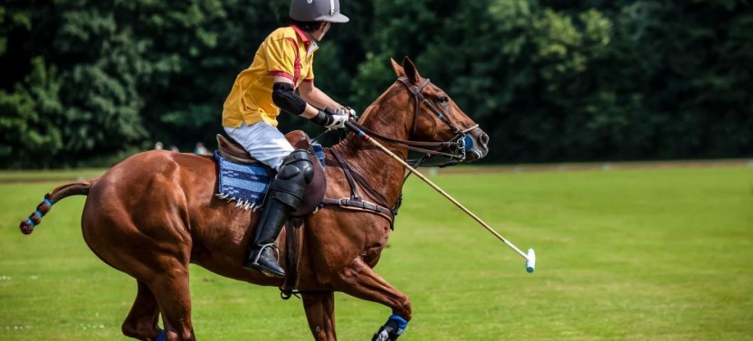 Full-Day Polo Experience With Exhibition Match