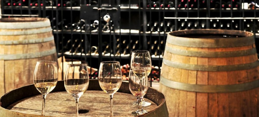 Full Day Wine Tasting including lunch from Mendoza
