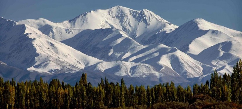 Full Day Wine Tasting including lunch from Mendoza
