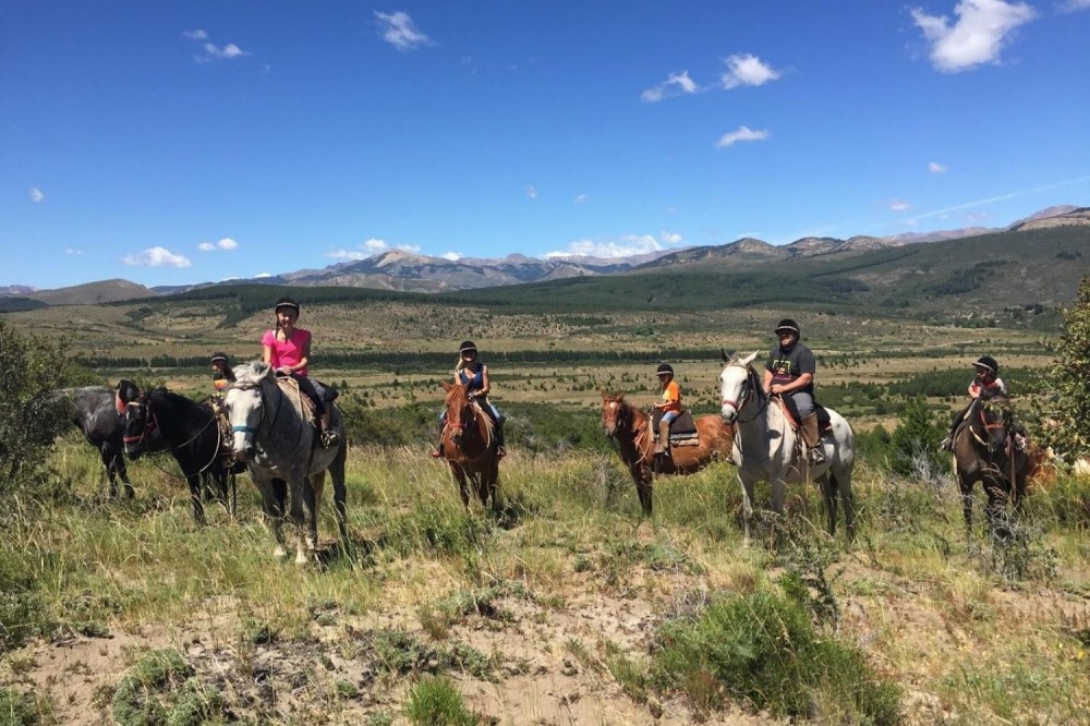 Half Day Horseback Riding Tour