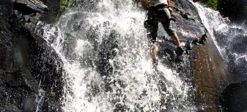 Iguazu Forest Tour including Rappelling, Trekking and Canopy