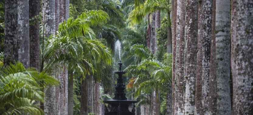 Jeep Tour Botanical Garden & Tijuca Rain Forest