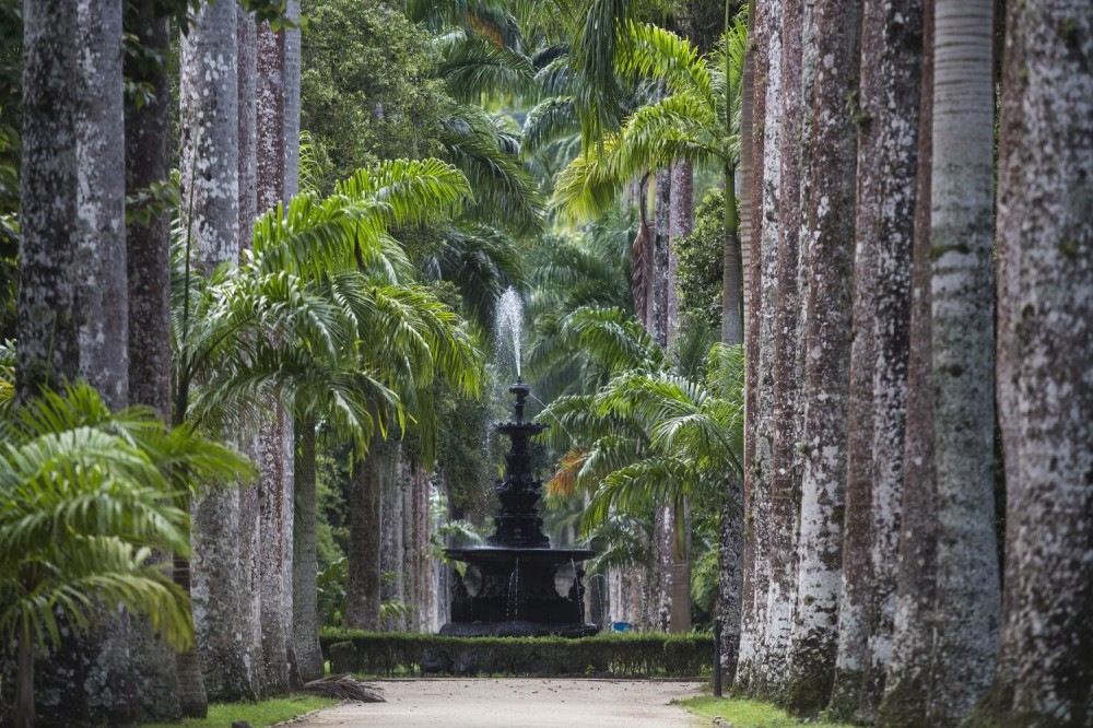 Jeep Tour Botanical Garden & Tijuca Rain Forest