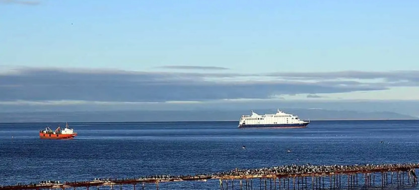 Private Shore Excursion Magallanes Reserva and City Tour