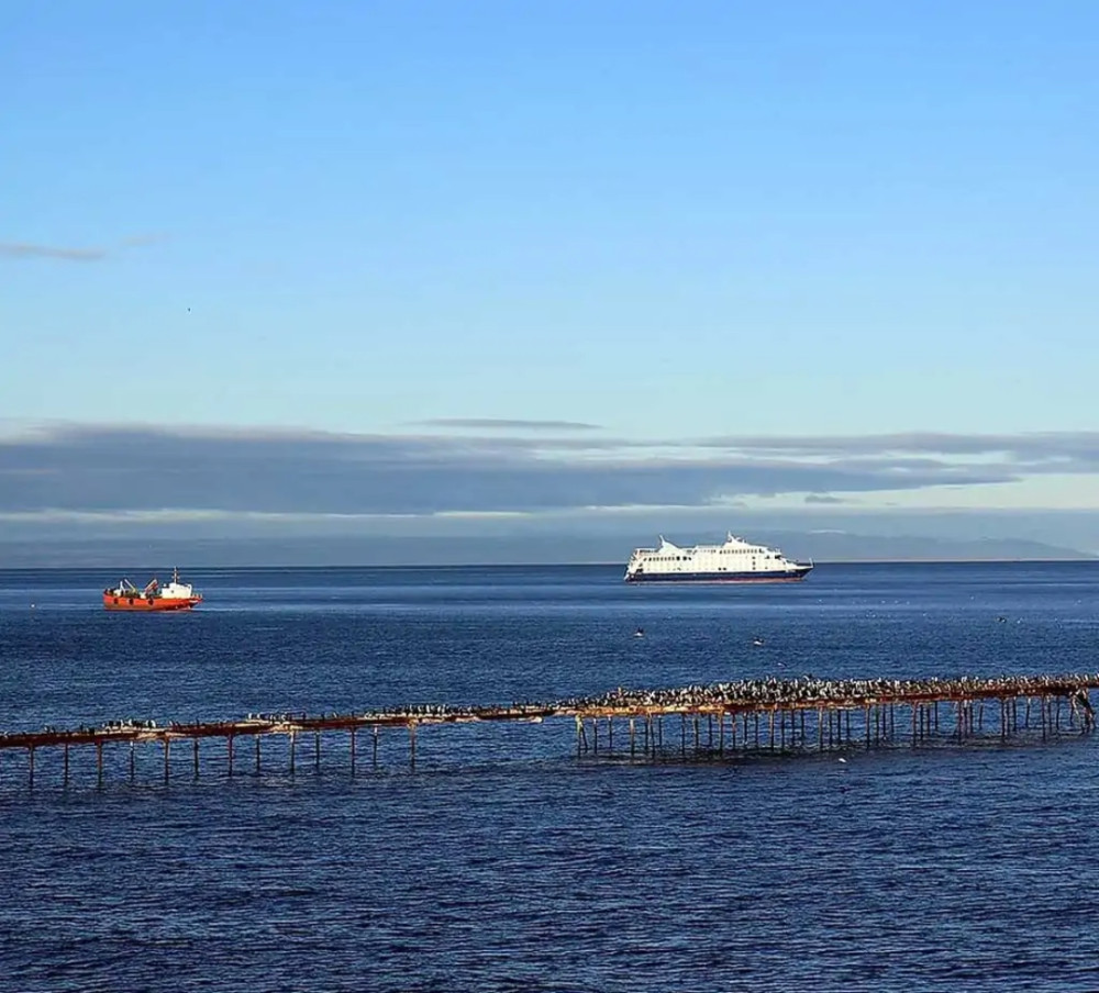 Private Shore Excursion Magallanes Reserva and City Tour
