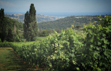 Azur Riviera Tourisme5