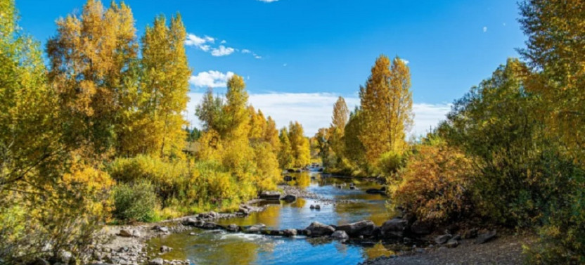 Upper Colorado Half Day Rafting Trip