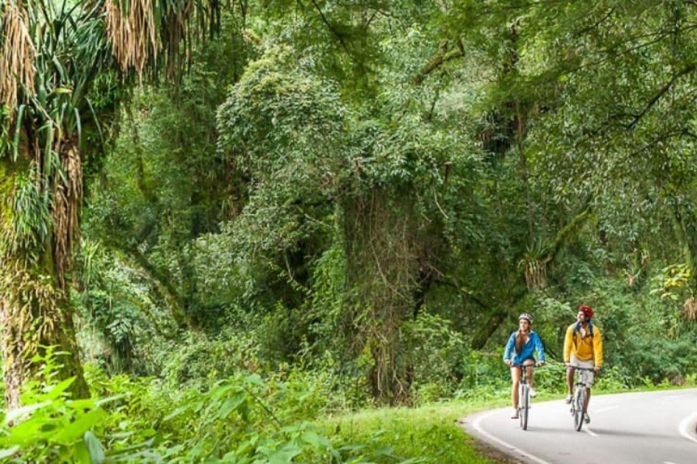 Mountain Bike Rainforest Circuit Salta Project Expedition