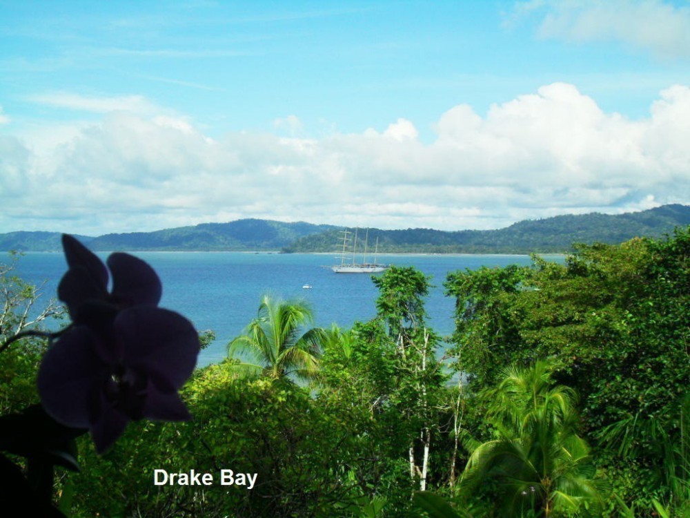 Drakes Bay
