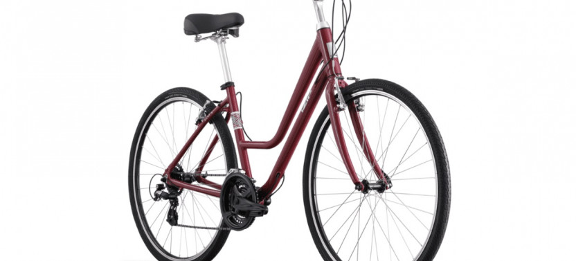 Path/Comfort Bike Rental
