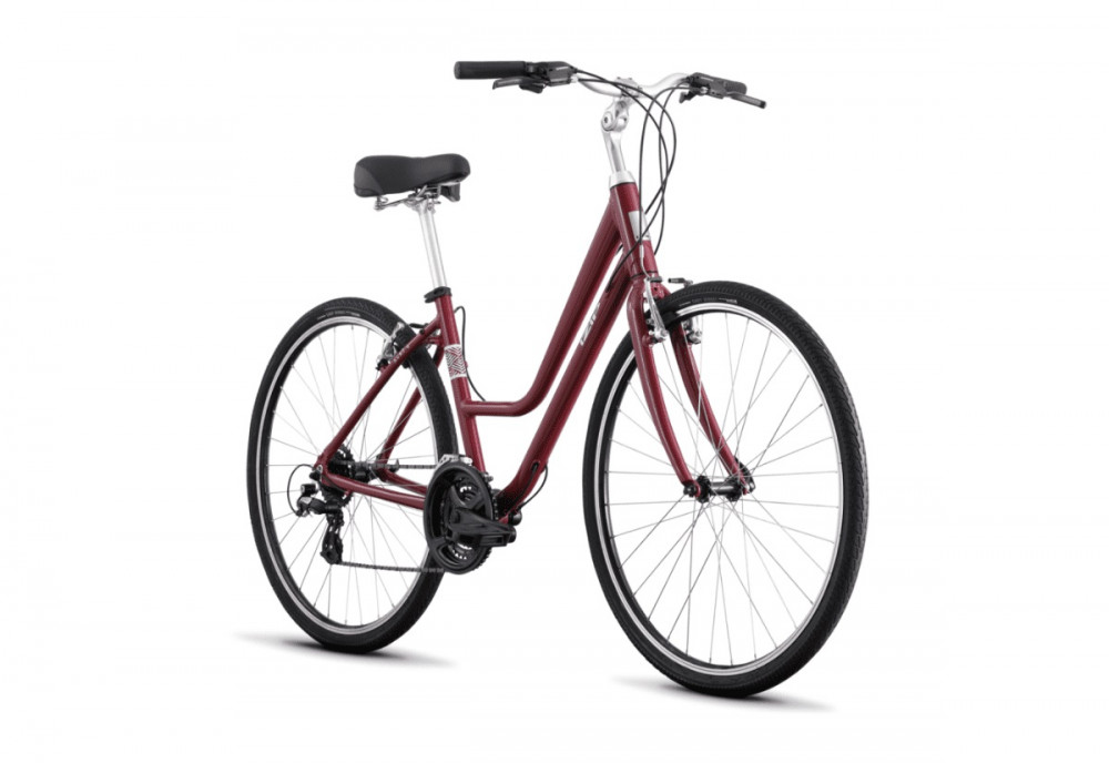 Path/Comfort Bike Rental